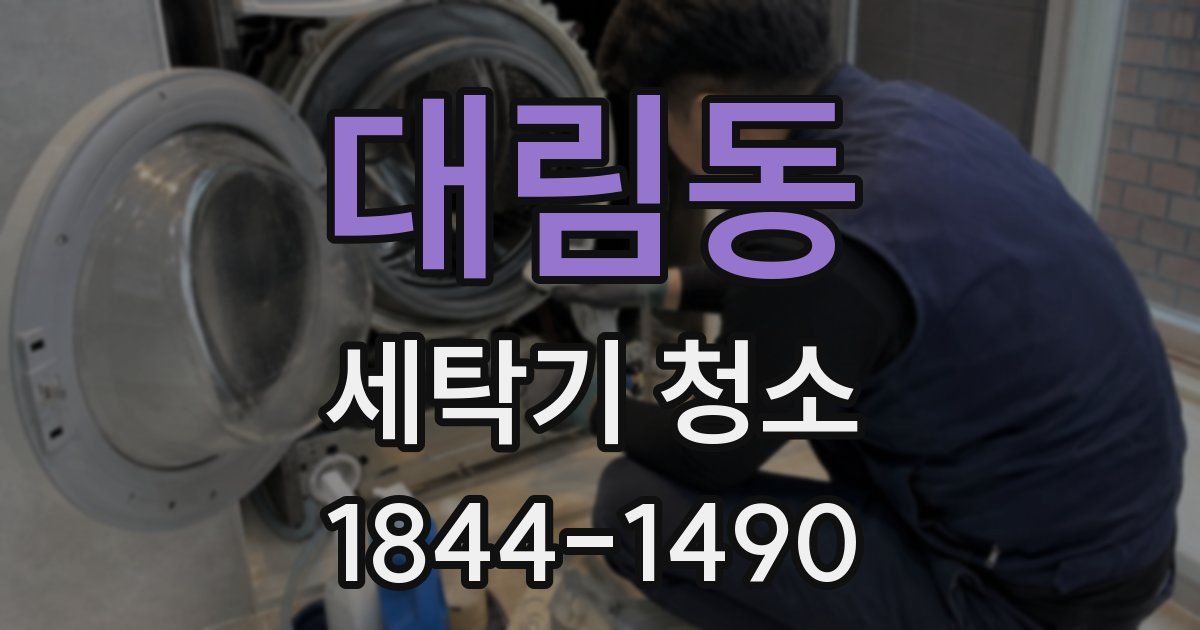 대림동 세탁기 청소
