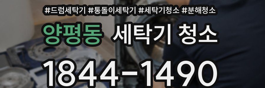 양평동 세탁기 청소