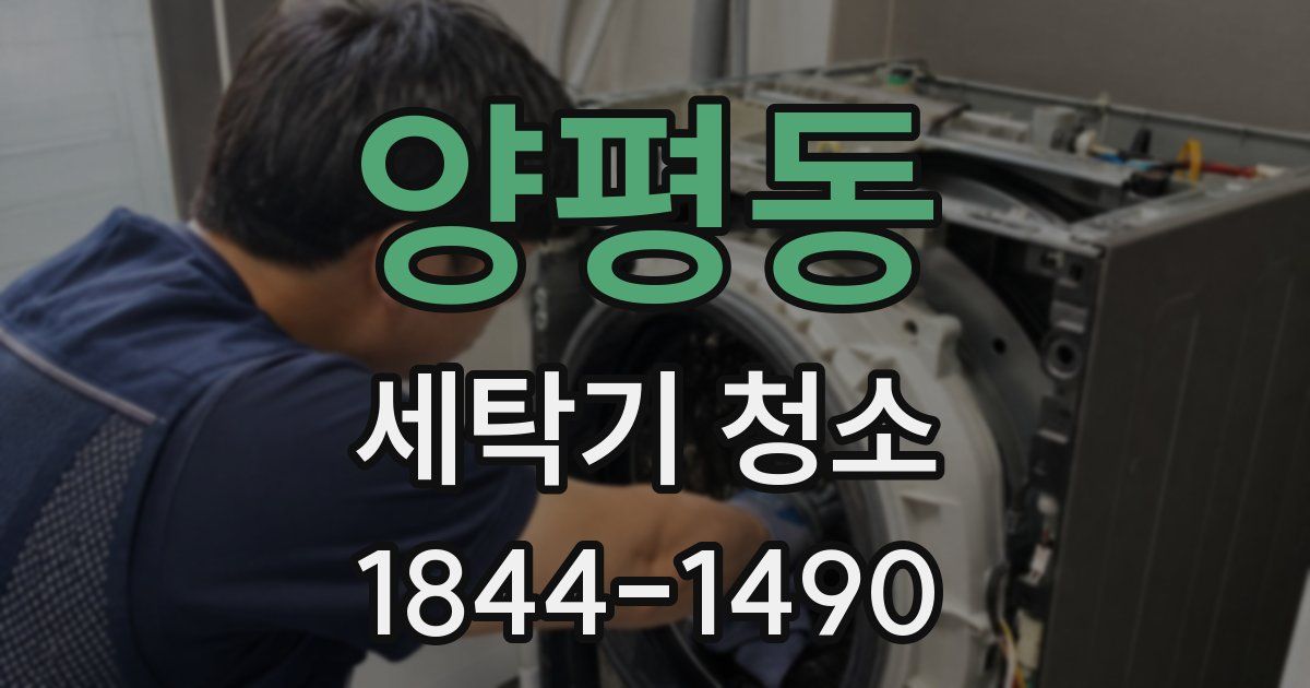양평동 세탁기 청소