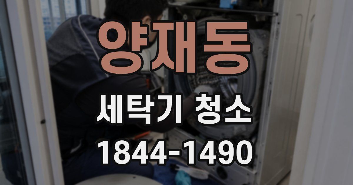 양재동 세탁기 청소