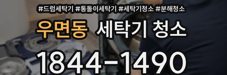 우면동 세탁기 청소