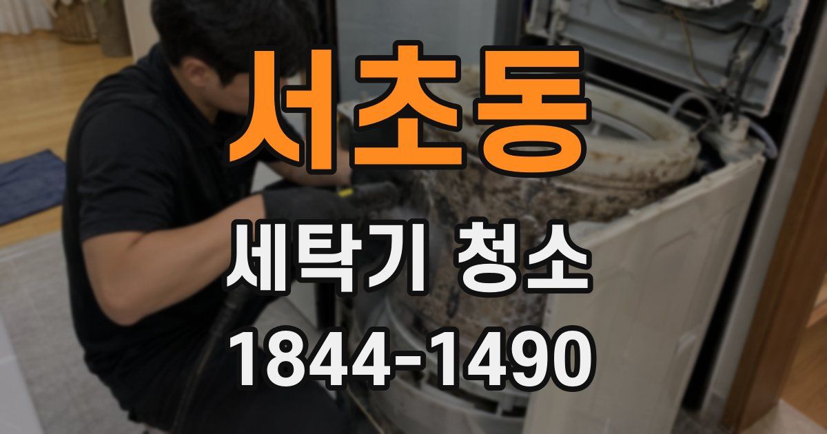 서초동 세탁기 청소
