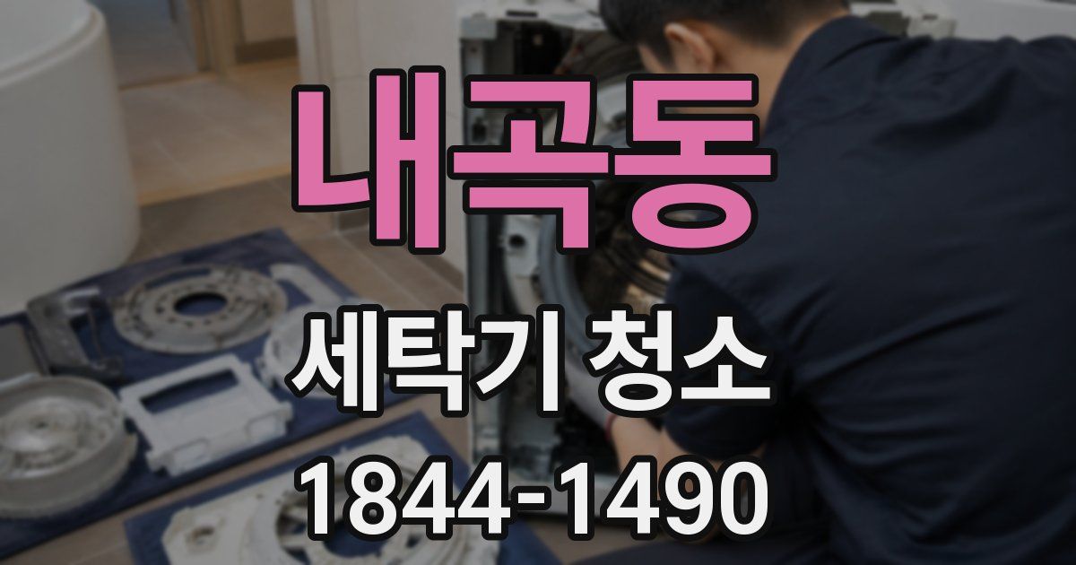 내곡동 세탁기 청소