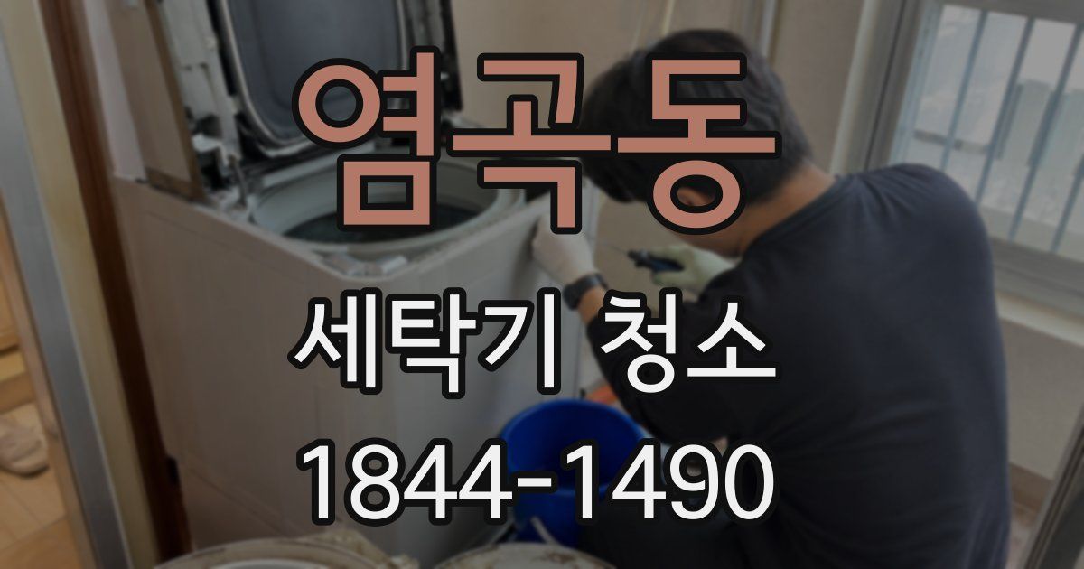 염곡동 세탁기 청소
