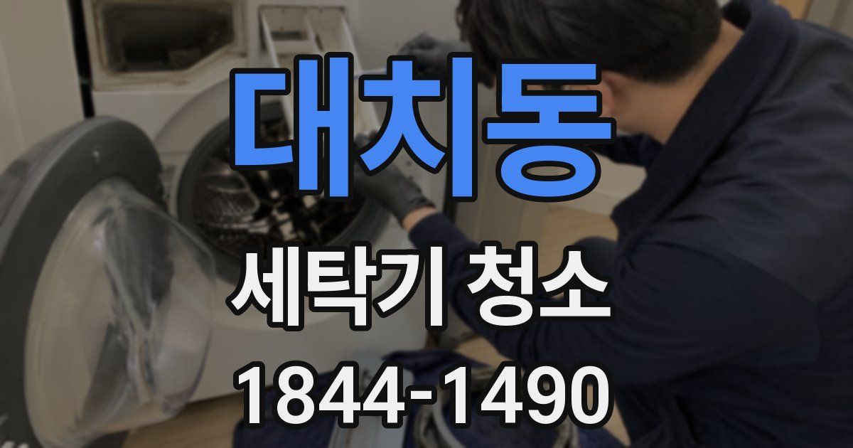 대치동 세탁기 청소