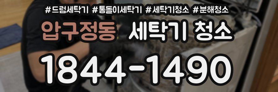 압구정동 세탁기 청소