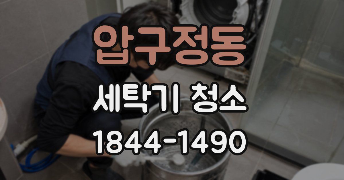 압구정동 세탁기 청소