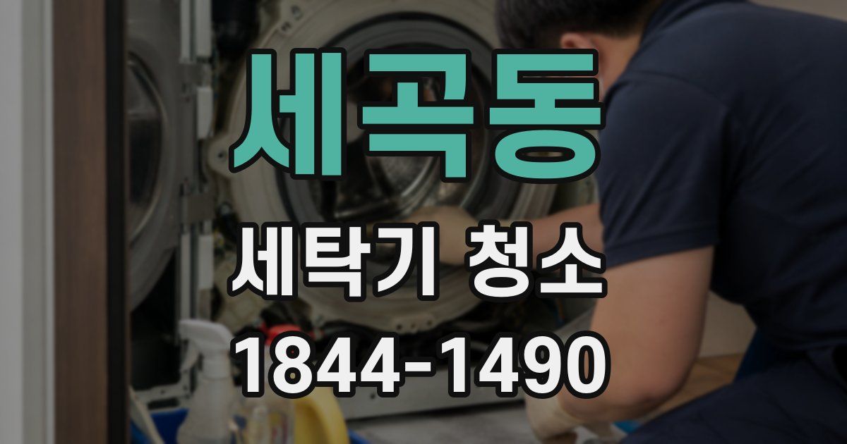 세곡동 세탁기 청소