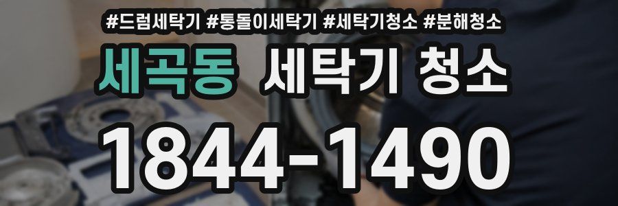 세곡동 세탁기 청소