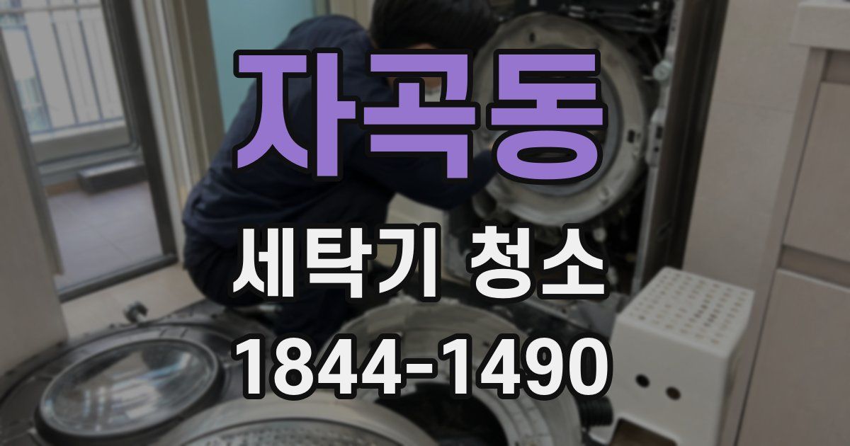 자곡동 세탁기 청소
