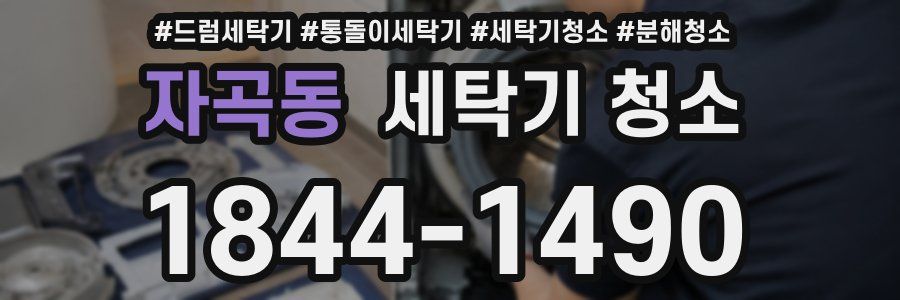 자곡동 세탁기 청소