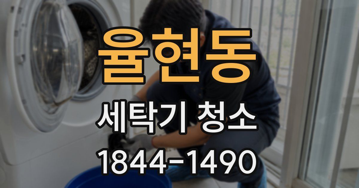 율현동 세탁기 청소