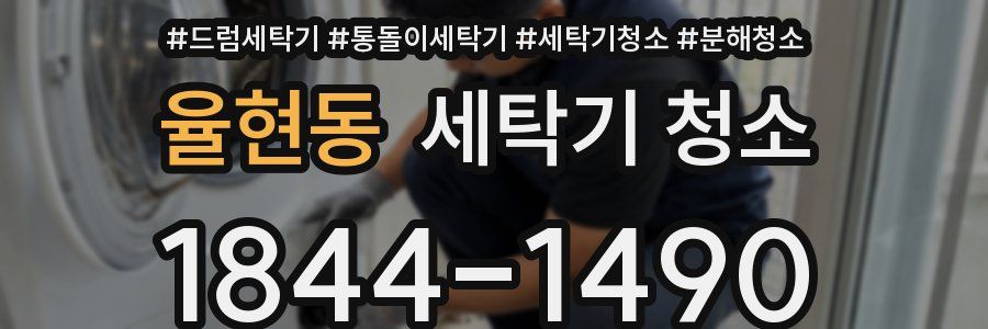 율현동 세탁기 청소