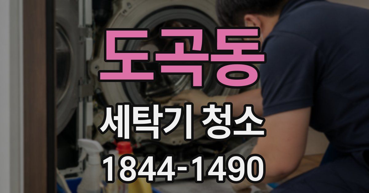 도곡동 세탁기 청소