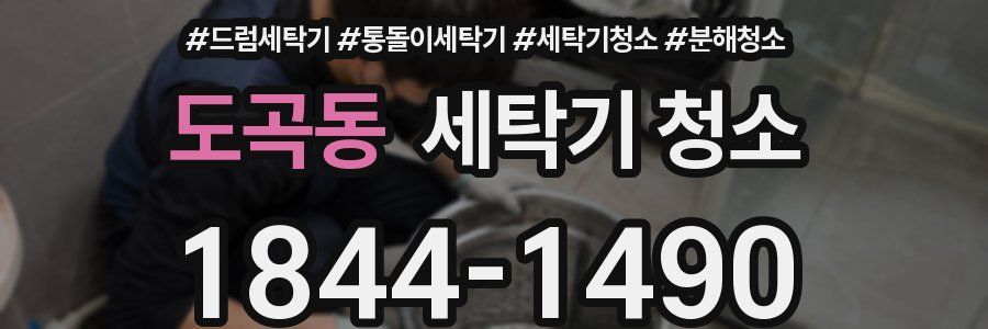 도곡동 세탁기 청소