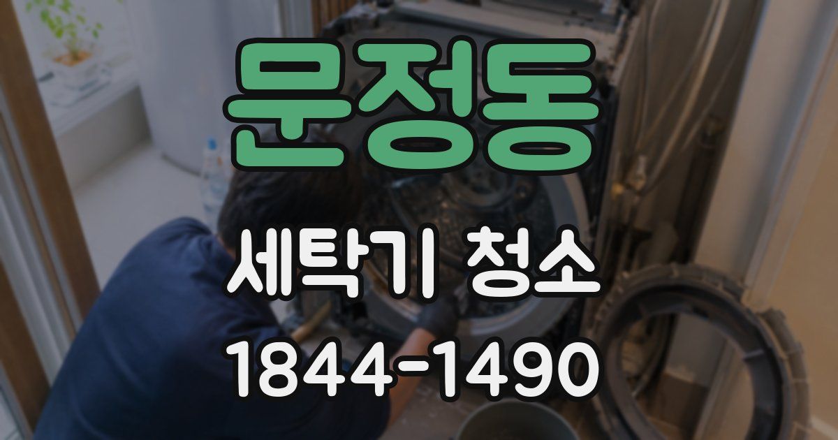 문정동 세탁기 청소
