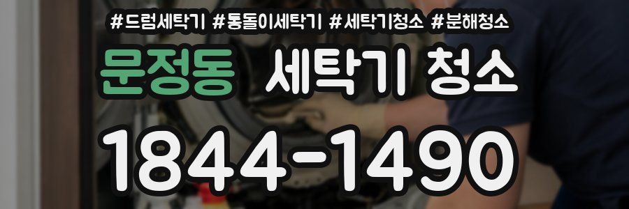 문정동 세탁기 청소
