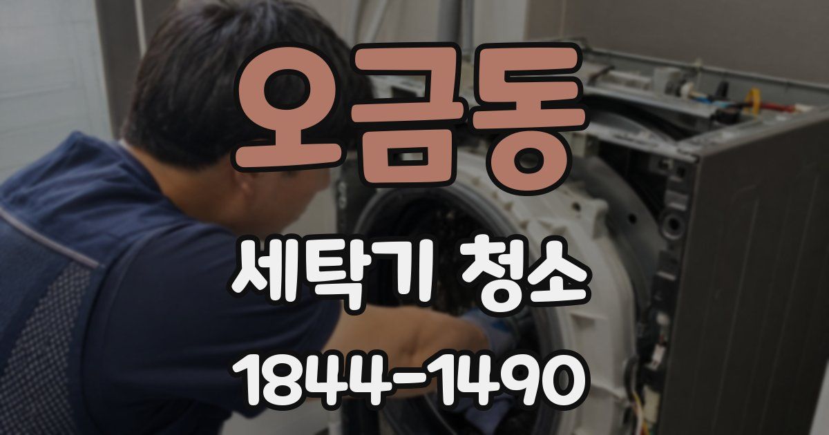 오금동 세탁기 청소