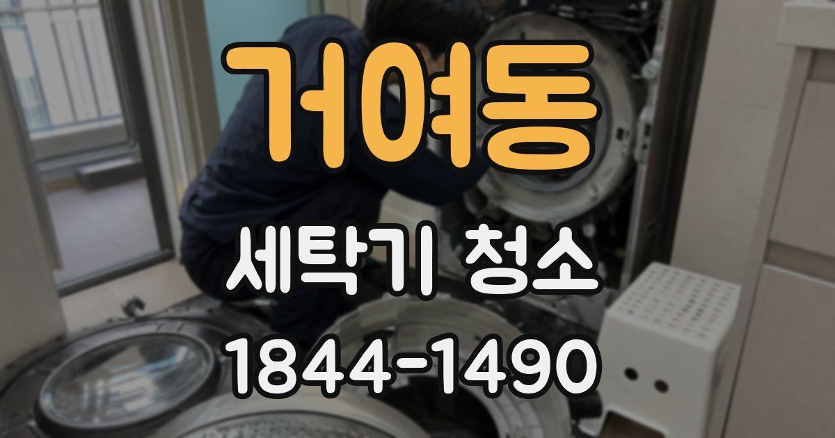 거여동 세탁기 청소
