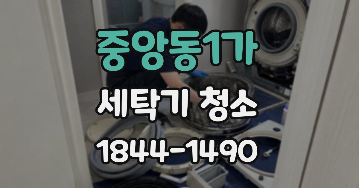중앙동1가 세탁기 청소