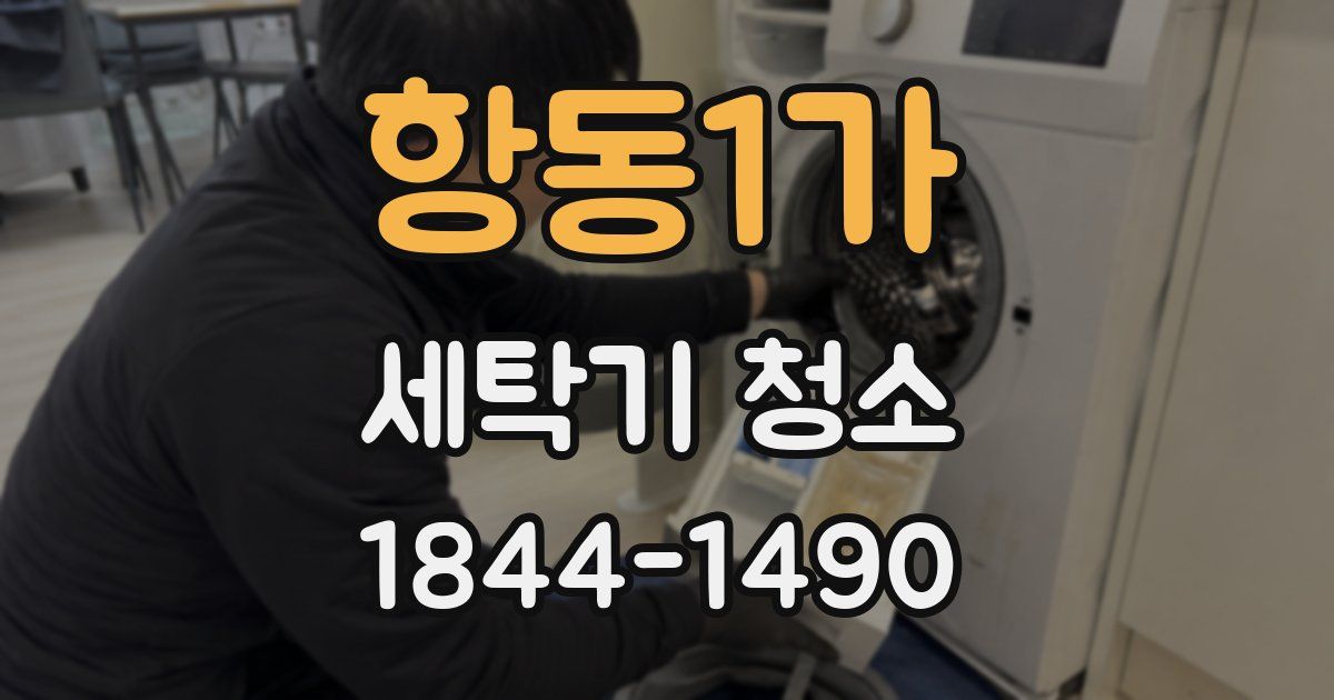 항동1가 세탁기 청소