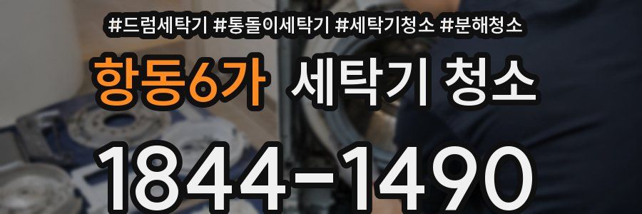 항동6가 세탁기 청소