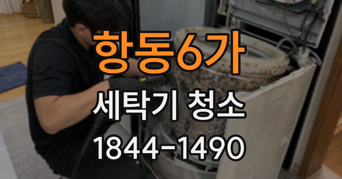 항동6가 세탁기 청소