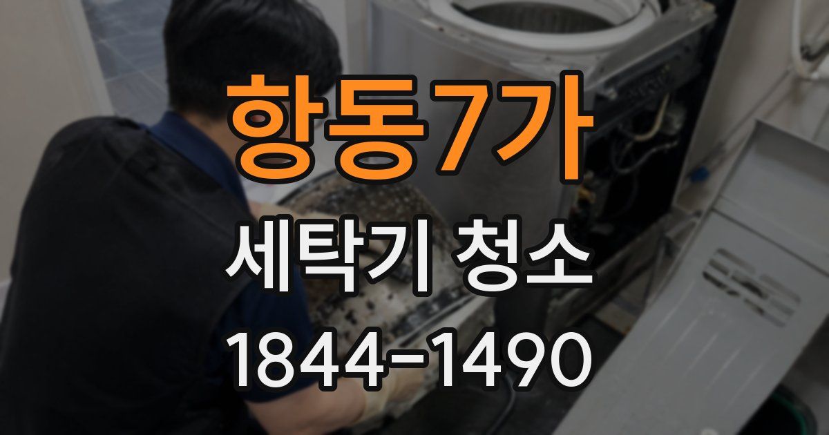 항동7가 세탁기 청소
