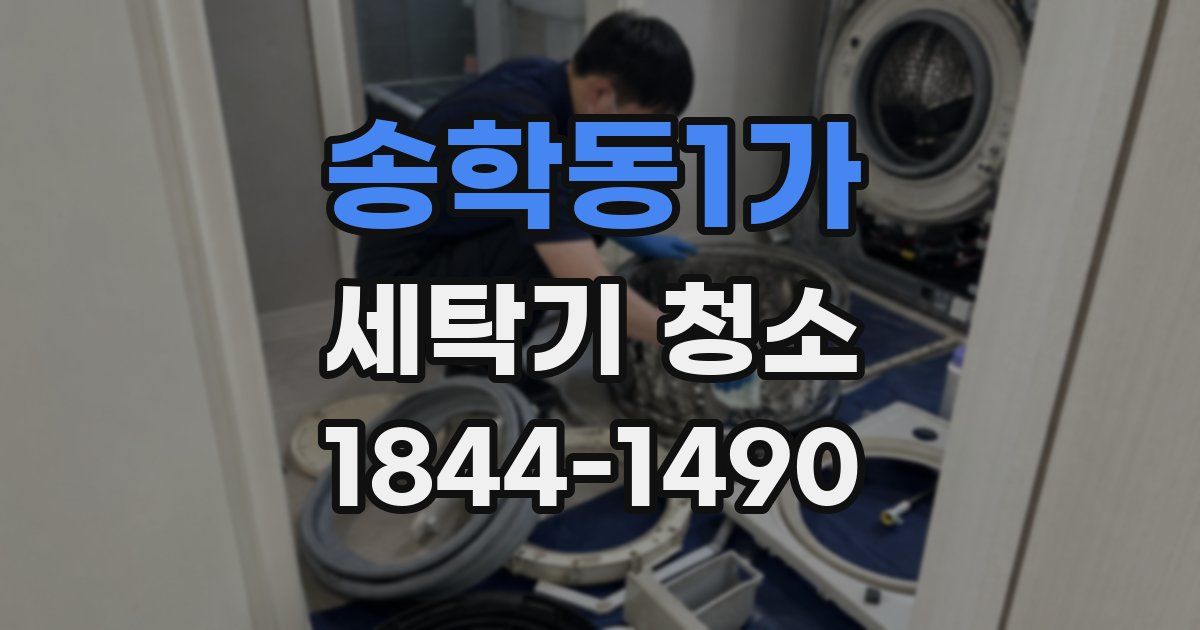 송학동1가 세탁기 청소