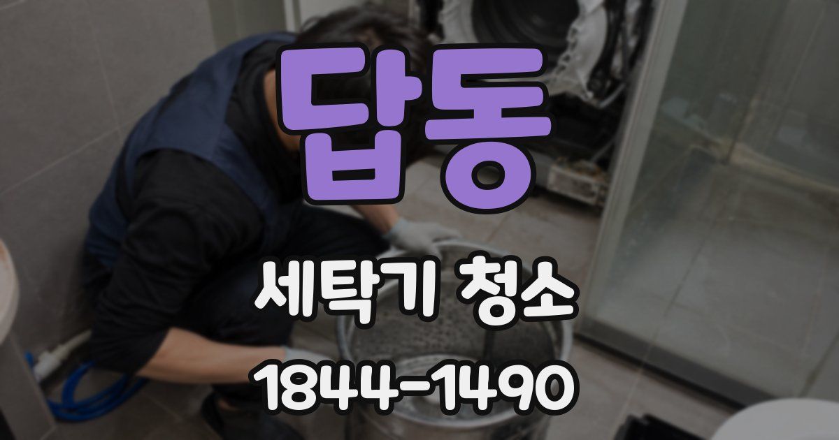 답동 세탁기 청소