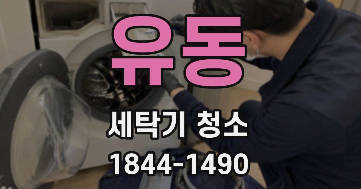 유동 세탁기 청소