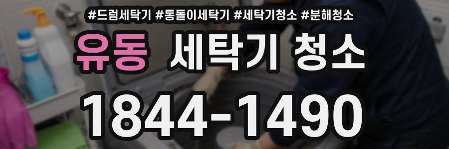 유동 세탁기 청소