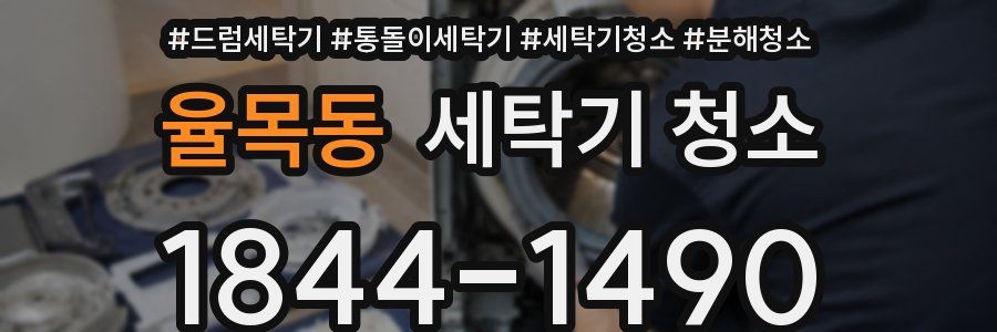 율목동 세탁기 청소