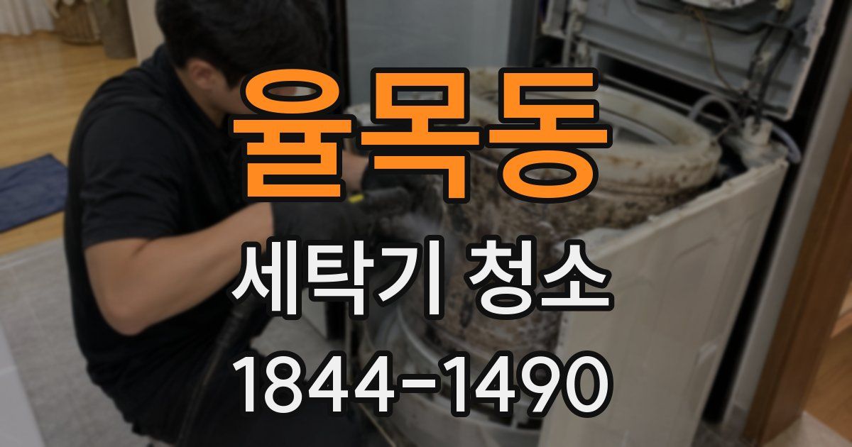 율목동 세탁기 청소