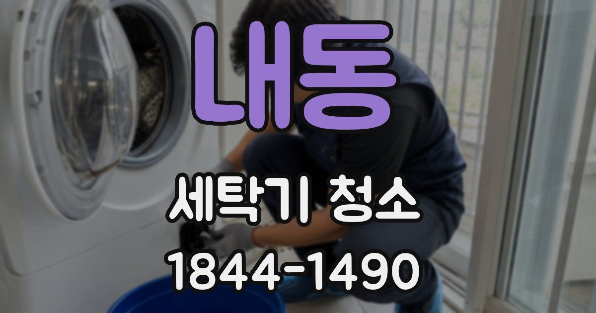 내동 세탁기 청소