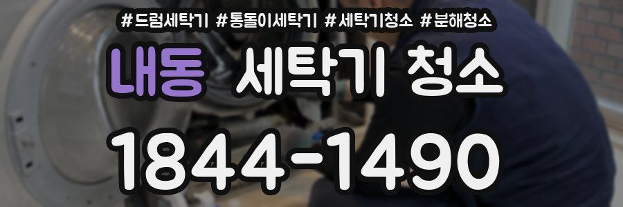 내동 세탁기 청소