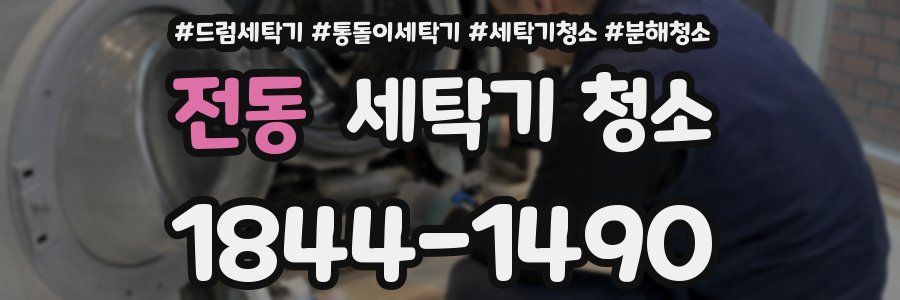 전동 세탁기 청소