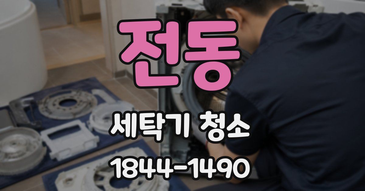 전동 세탁기 청소