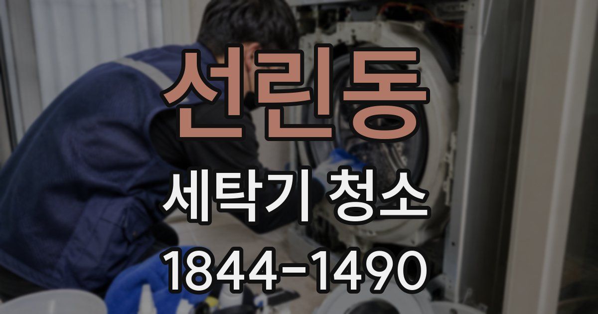 선린동 세탁기 청소