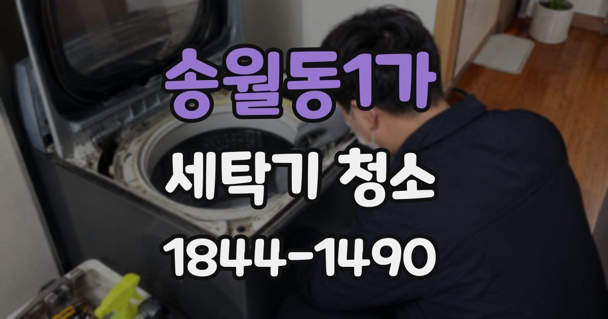 송월동1가 세탁기 청소