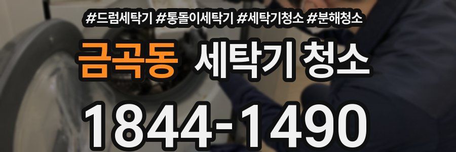 금곡동 세탁기 청소