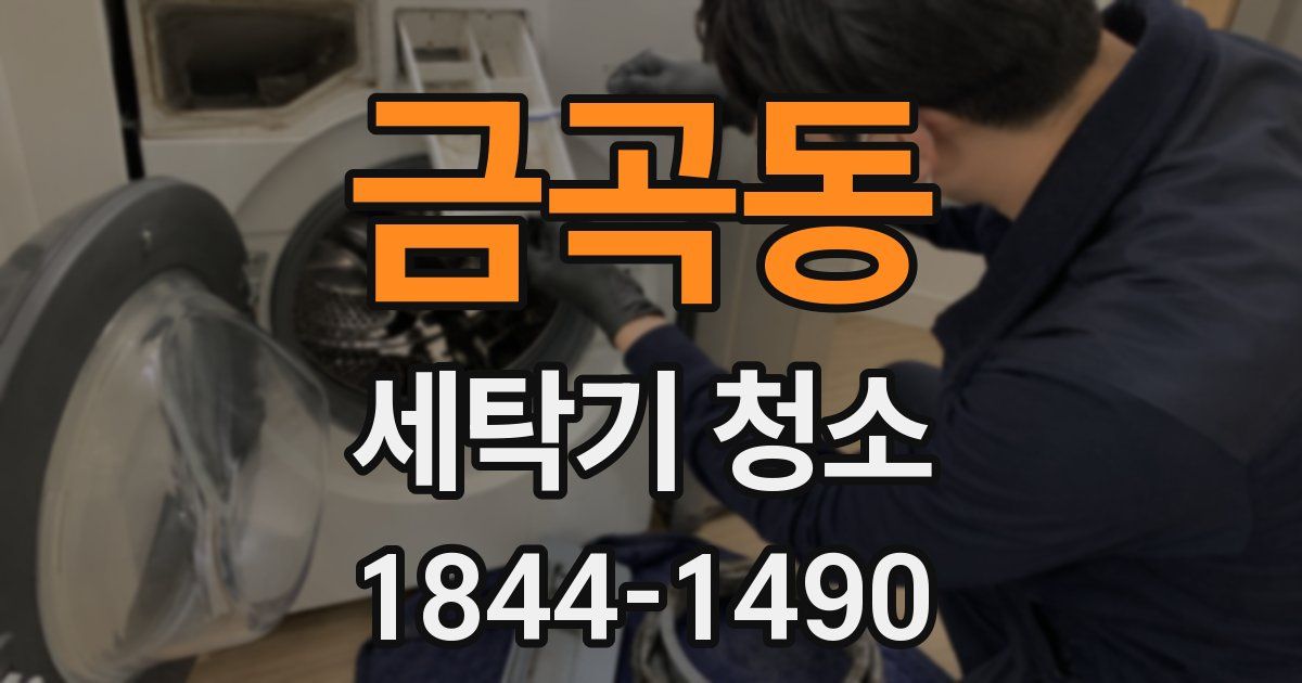 금곡동 세탁기 청소