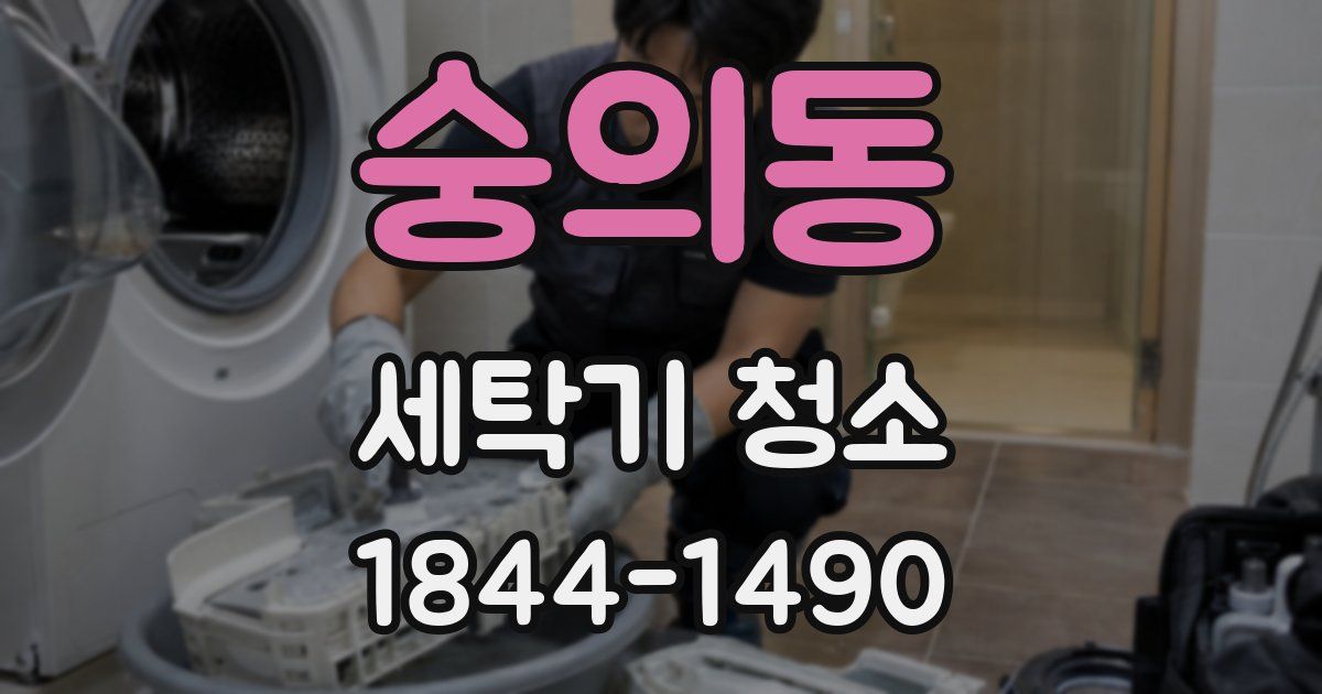 숭의동 세탁기 청소