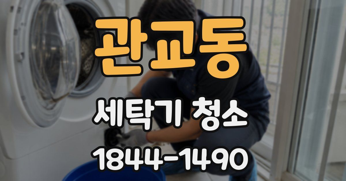 관교동 세탁기 청소