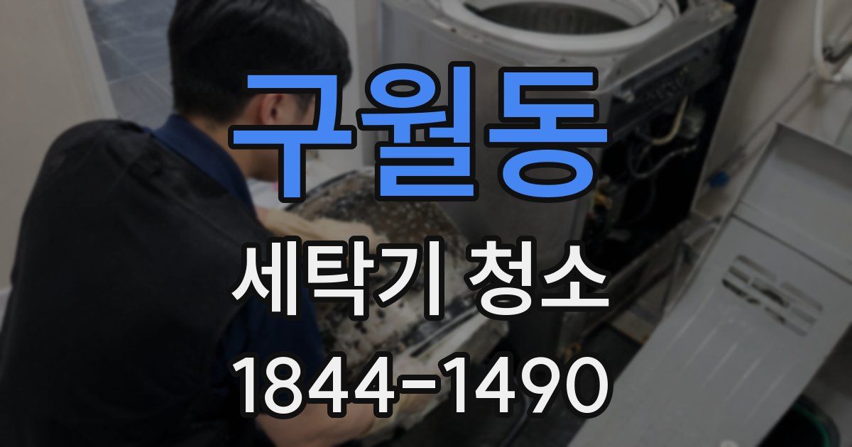 구월동 세탁기 청소