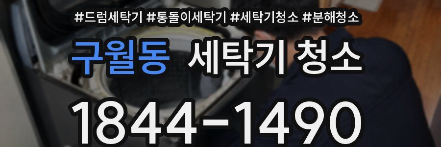구월동 세탁기 청소