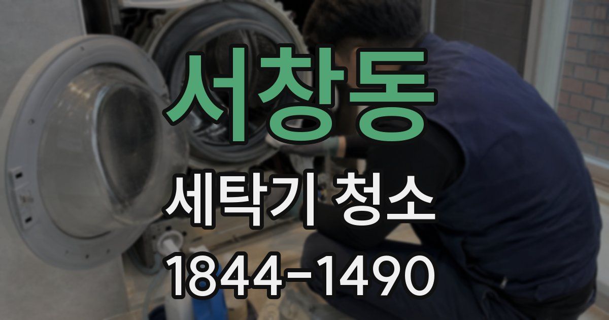서창동 세탁기 청소