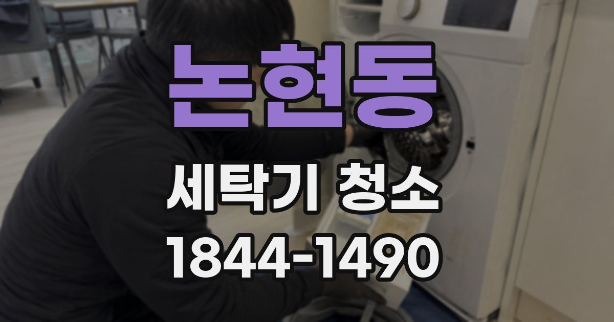 논현동 세탁기 청소