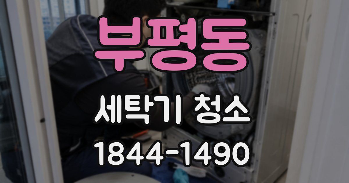 부평동 세탁기 청소