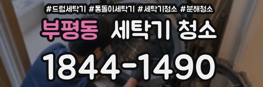 부평동 세탁기 청소